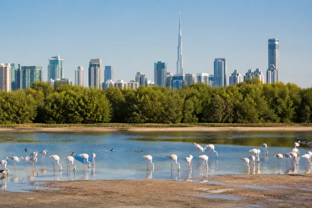 ras-al-khor-area-guidepng-2026-04-28t195556895z