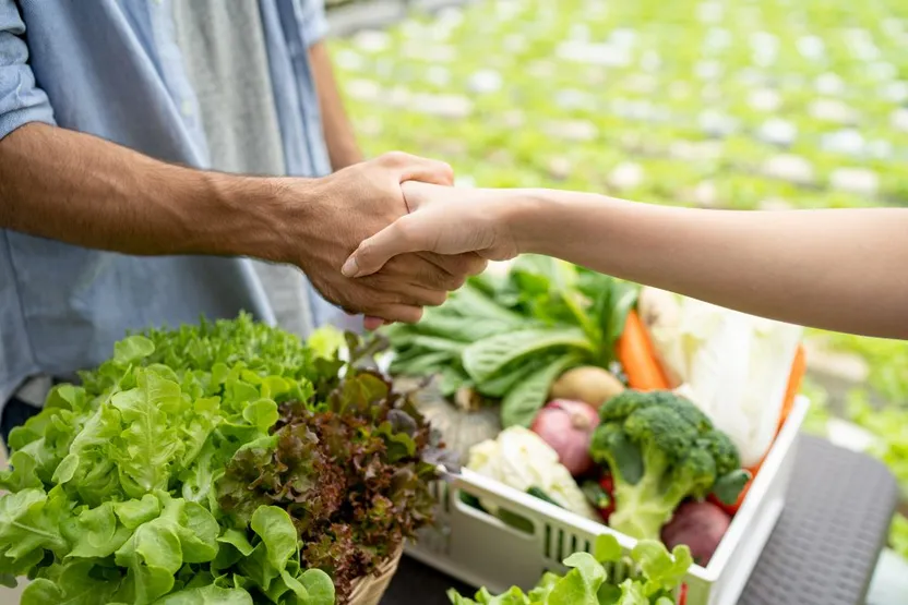 The Ripe Market