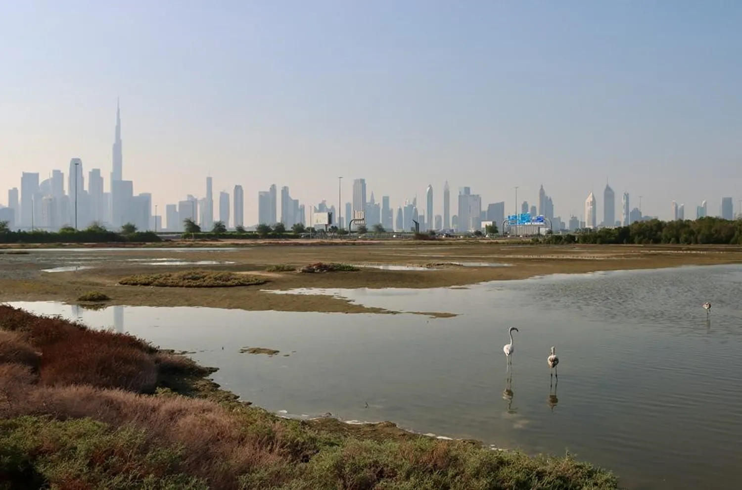 Can foreigners buy land plots in dubai?