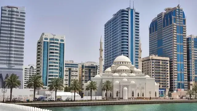 Where to Rent an Office in Sharjah in 2024