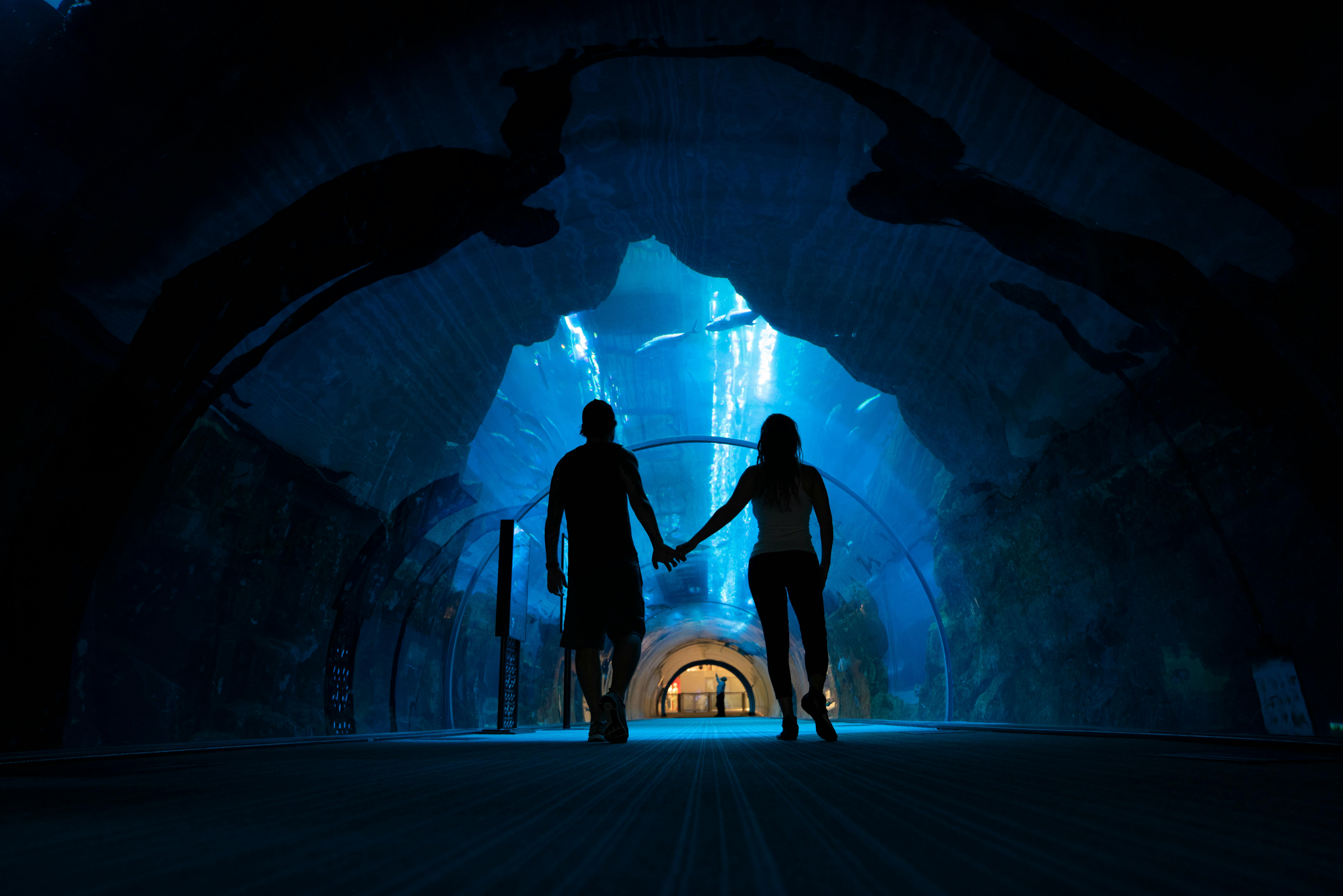 Romantic Honeymoon Rentals in Dubai with