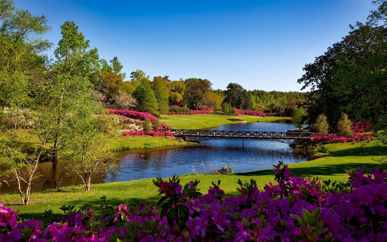 5 Must-Visit Parks in Dubai for Families