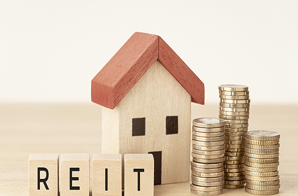 What are REITs in Real Estate?