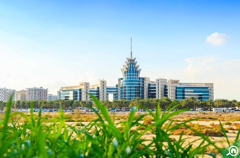 About Dubai Silicon Oasis