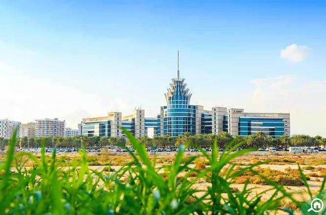 About Dubai Silicon Oasis