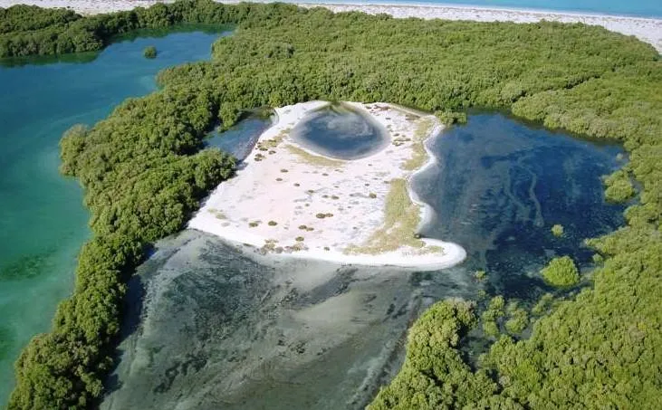 Bu Tinah Island