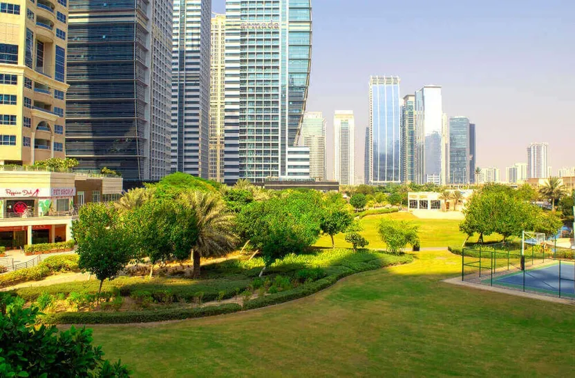 Community and Amenities
