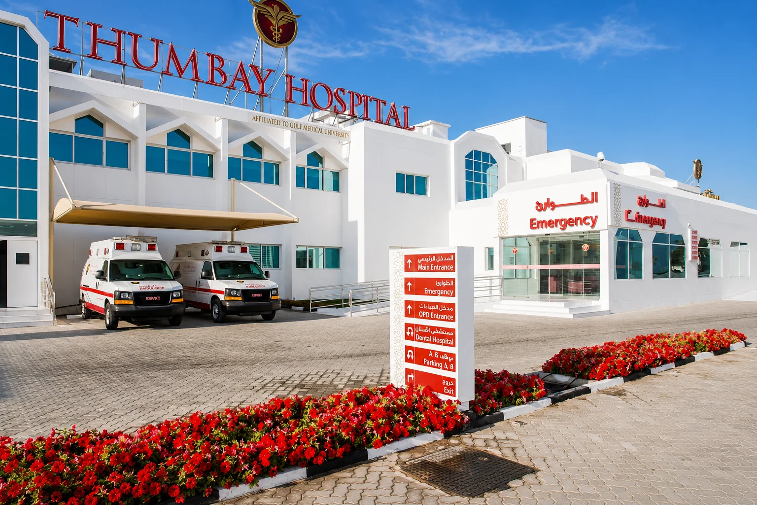 Healthcare in Al Khawaneej 1