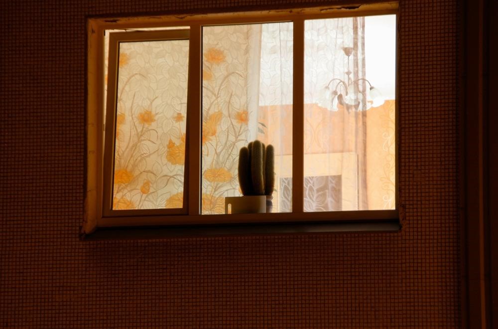 Home Warranties
