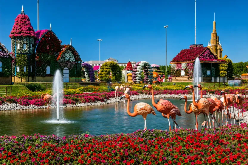 How to get to Dubai Miracle Garden