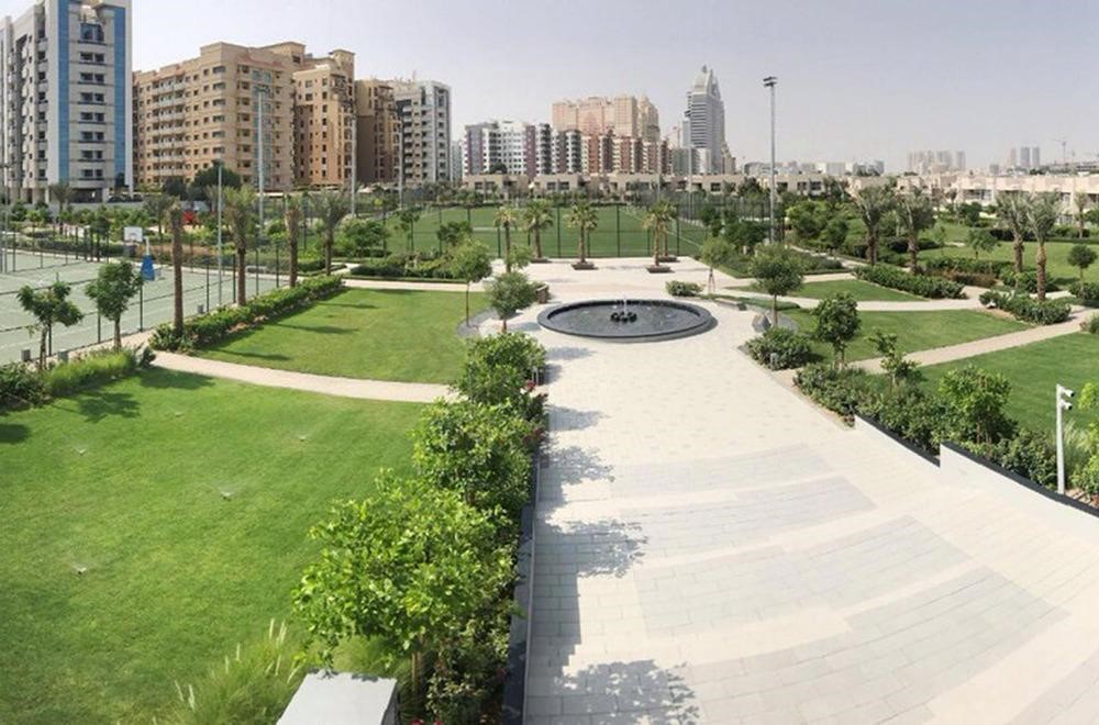 Lifestyle and Amenities in DSO