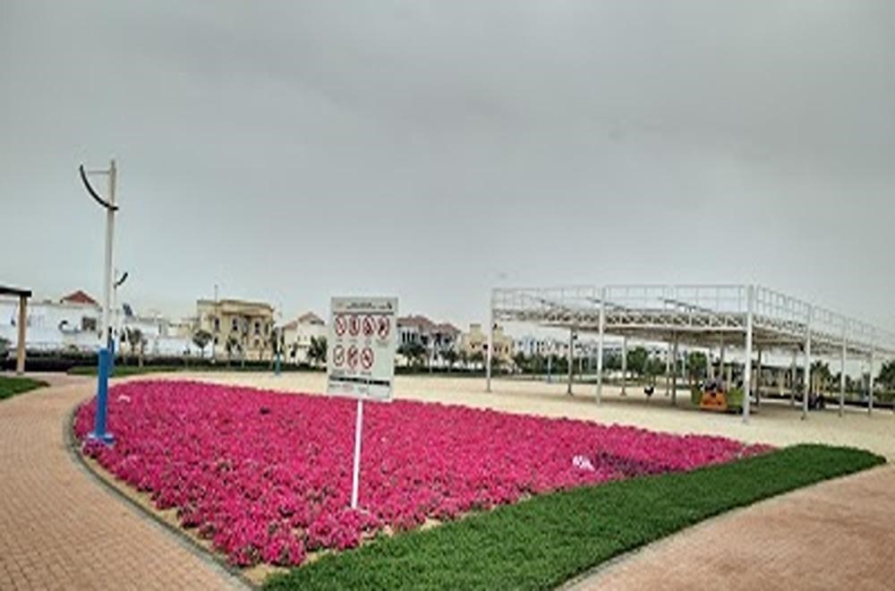 Lifestyle and Amenities