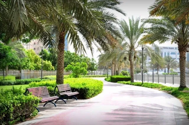 OUTDOOR SPACES AND PARKS