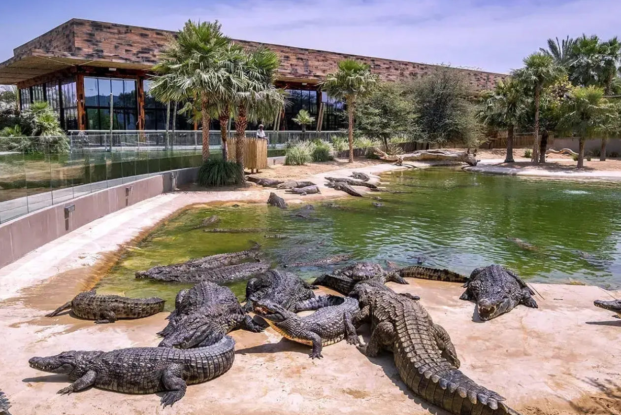 OUTDOOR SPACES AND PARKS