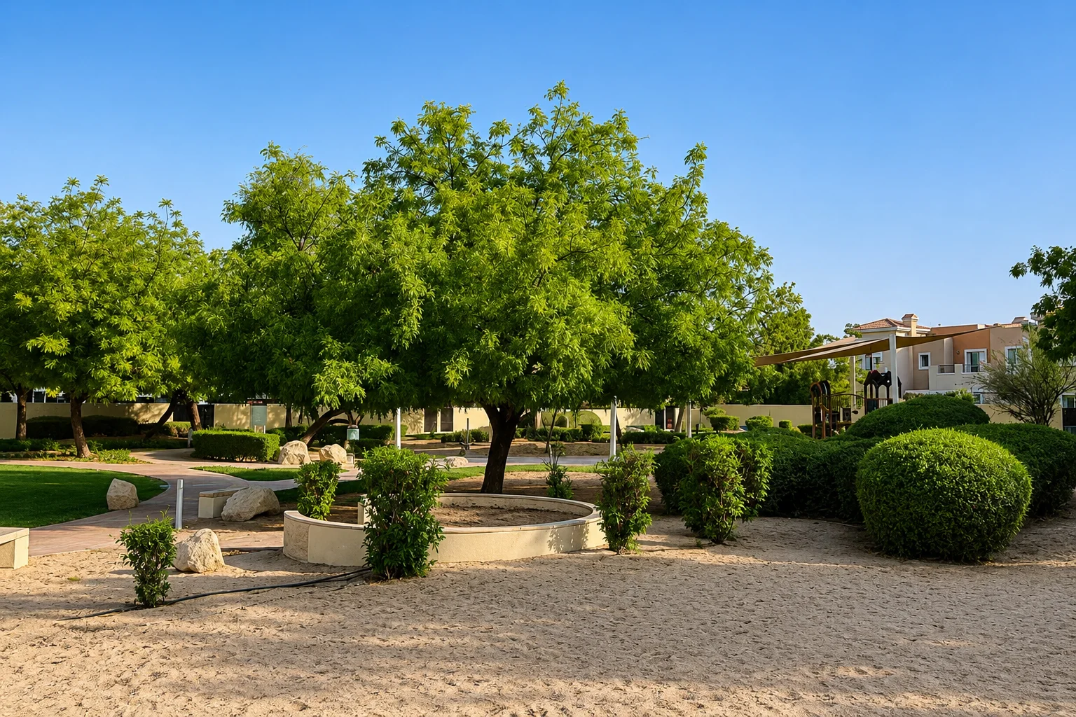 Outdoor spaces & parks in Al Reem 1