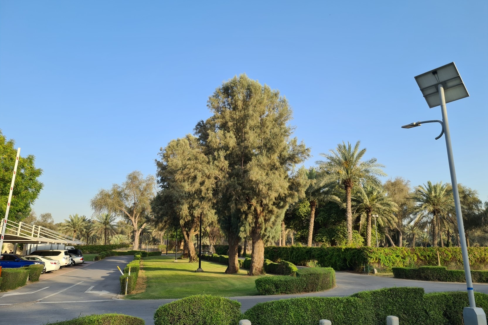 OUTDOOR SPACES & PARKS