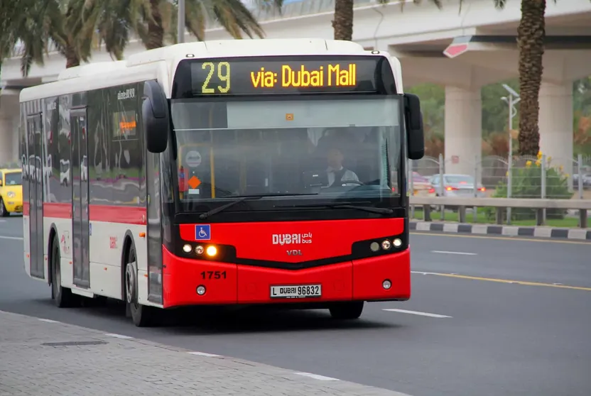 Buses