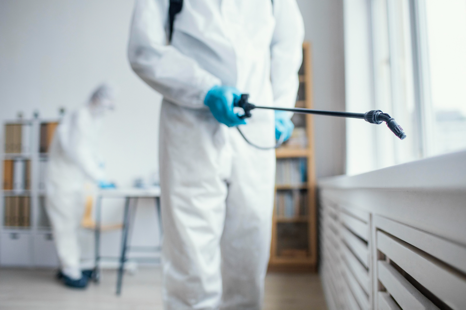 Regular Pest Control