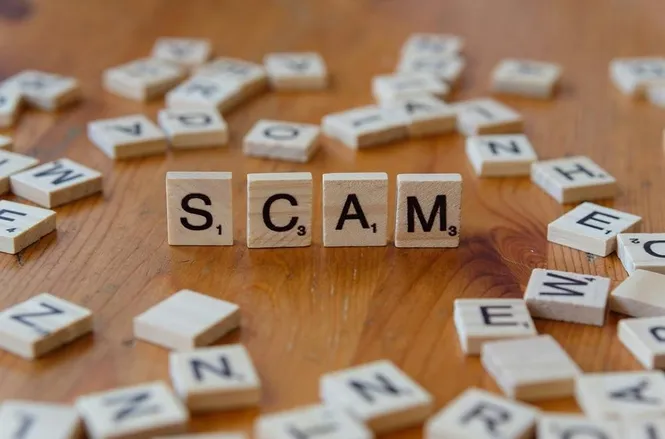 What to Do If You Suspect a Scam