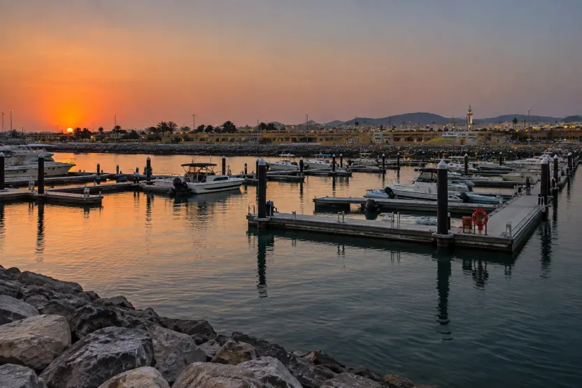 Who is Dalma Island best for?