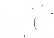DNA Health & Wellness