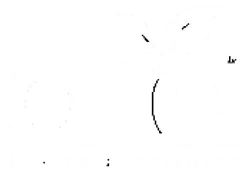 DNA Health & Wellness