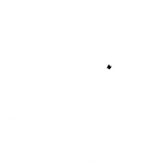 the noodle house