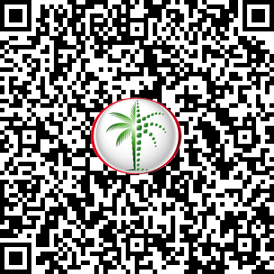 1 Bedroom Apartment in Palace Beach Residence DLD Verified