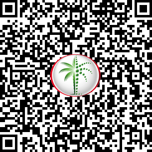  Apartment in The Palm Tower DLD Verified