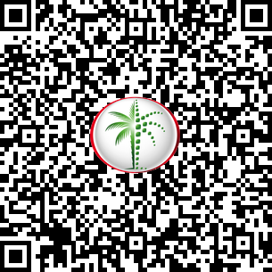  Land in Palm Jebel Ali DLD Verified