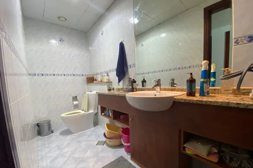 1 Bedroom Apartment in Lake View Tower