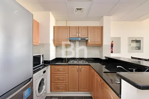 1 Bedroom Apartment in Elite Sports Residence 10