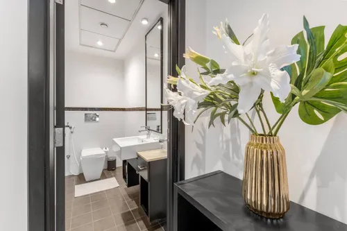 1 Bedroom Apartment in Skyview Tower