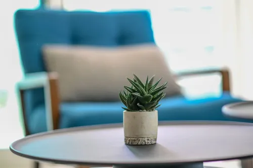 2 Bedrooms Apartment in Sunrise Bay
