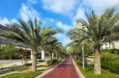 3 Bedrooms Apartment in Al Tamr