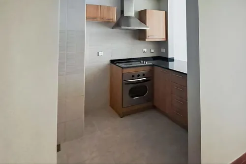 1 Bedroom Apartment in Zumurud Tower