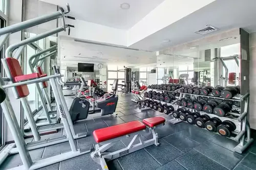 1 Bedroom Apartment in DEC Tower 1