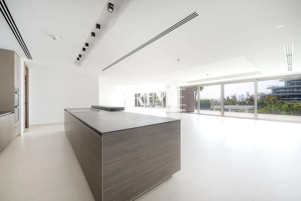 4 Bedrooms Apartment in Mansion 3