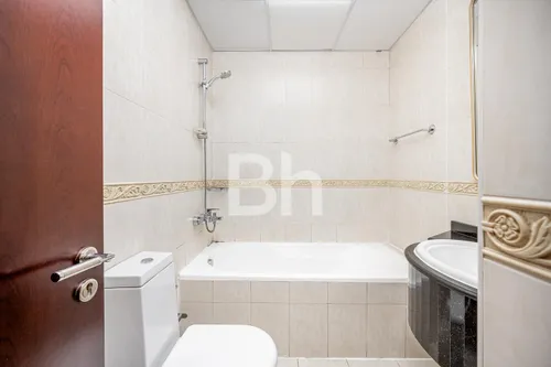 4 Bedrooms Apartment in Elite Residence