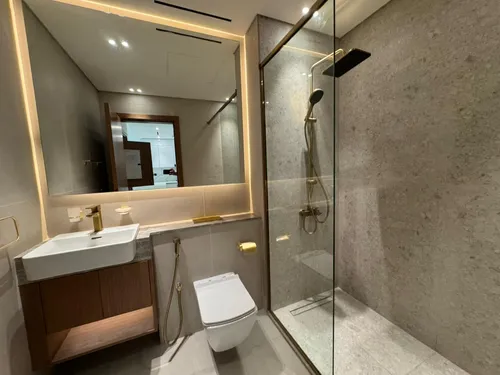 1 Bedroom Apartment in Binghatti Amber