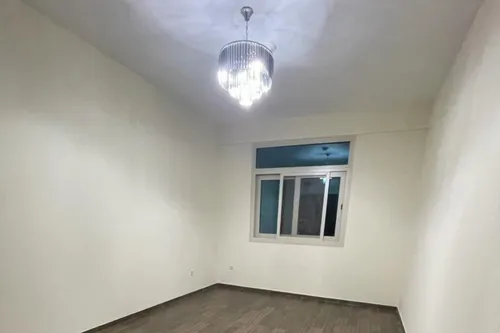 1 Bedroom Apartment in Tulip