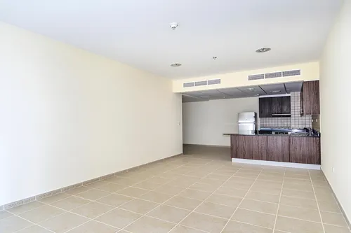 1 Bedroom Apartment in Elite Residence