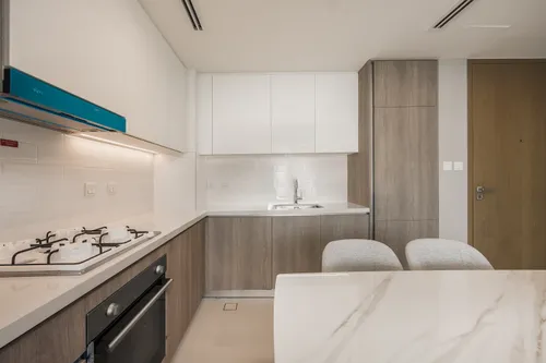 1 Bedroom Apartment in LIV Marina