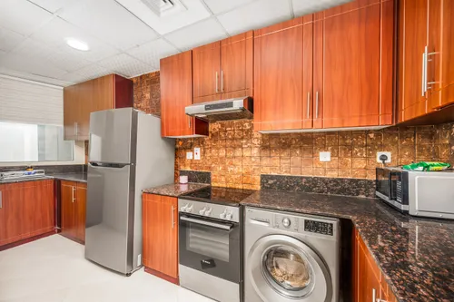 1 Bedroom Apartment in Lake Shore Tower