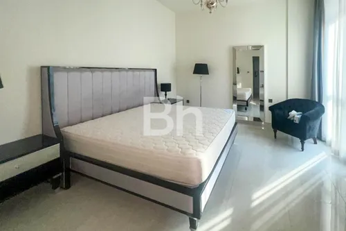 Large Size | Available Now | Fully Furnished