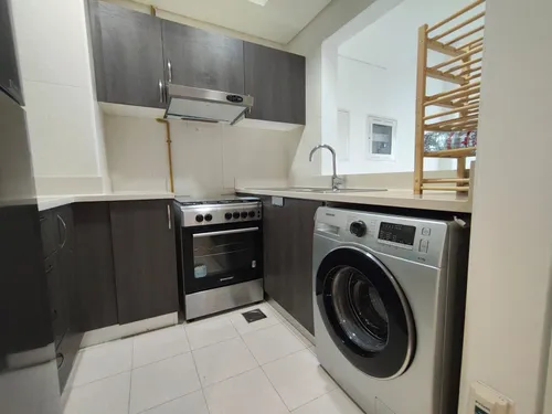 1 Bedroom Apartment in Plaza Residences 2