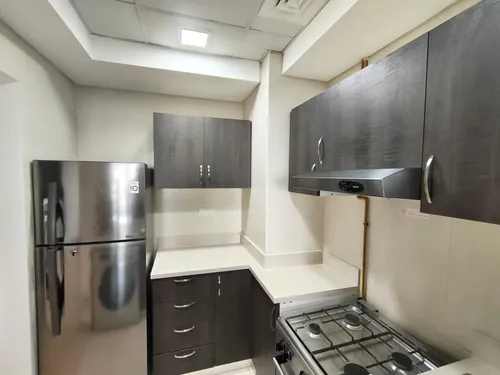1 Bedroom Apartment in Plaza Residences 2
