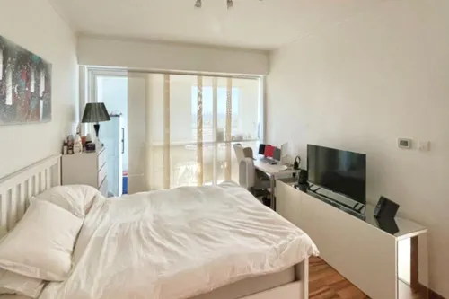 1 Bedroom Apartment in Saba Towers