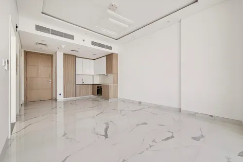 1 Bedroom Apartment in Pinnacle