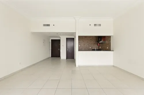  Apartment in Lake Shore Tower